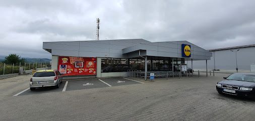 Lidl Strada Nicolae Titulescu 8