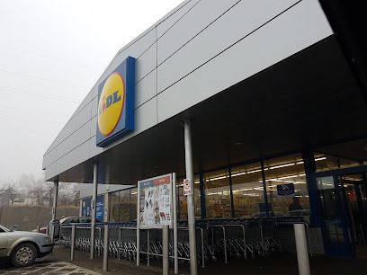 Lidl Strada Plugari 3