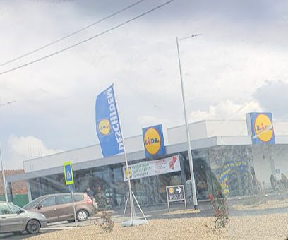 Lidl Strada Principală 376-377