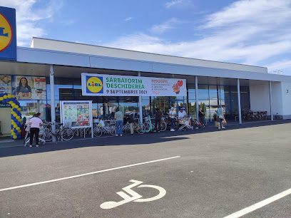 Lidl Strada Prof Dr. Aurel Ardelean Nr 28
