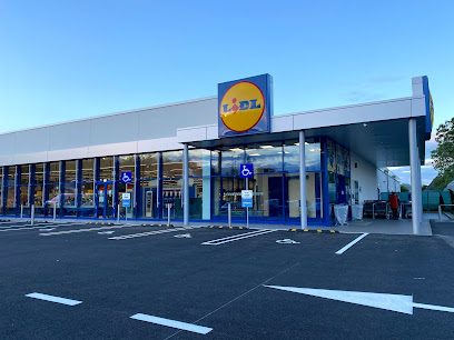 Lidl Strada Republicii 243