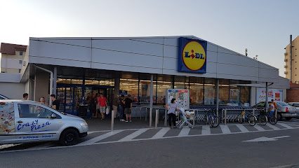 Lidl Strada Rusciorului 48A