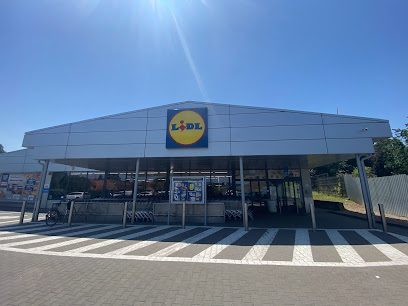 Lidl Strada Transilvaniei 99-103