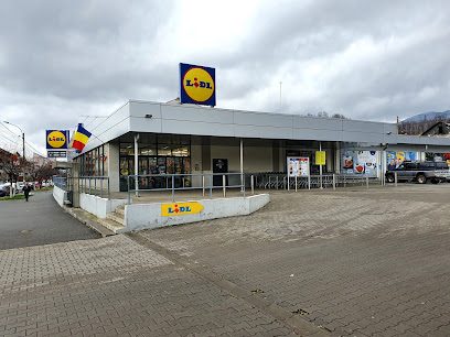 Lidl Strada Tudor Vladimirescu 27