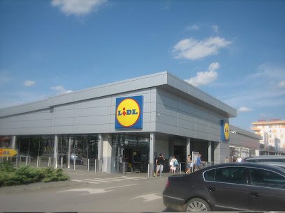 Lidl Strada Vasile Lupu 78