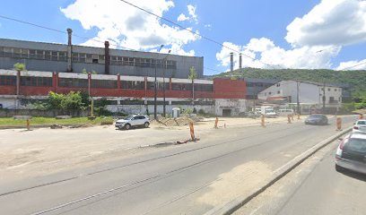 MURARIU TRADING COMPANY S.R.L. Str. Lalescu Traian