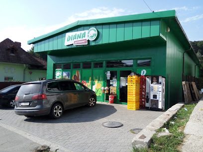 Magazin Diana Strada Alexandru Ioan Cuza 70