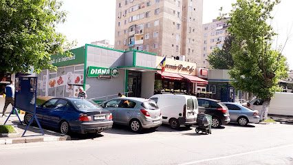 Magazin Diana Strada Mihai Eminescu Nr.24