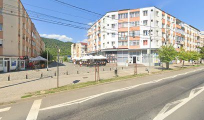 Magazin Ferma Zootehnica nr. 25 Strada Gutinului nr. 3