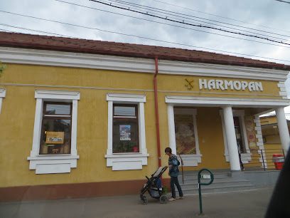 Magazin de Pâine Strada Kossuth Lajos 48