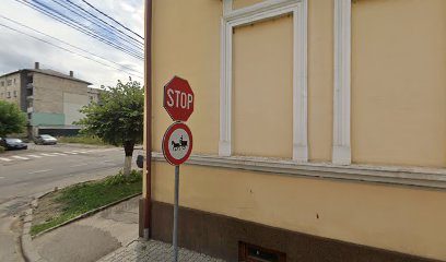 Magazinul Fermierului - Ruris Strada Mihail Kogălniceanu 2