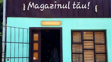 Magazinul tău Strada Izvoarelor număr 101