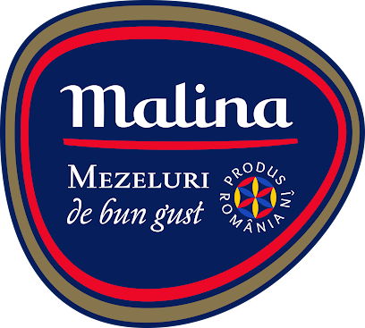 Malina Lux S.R.L. Strada Constantin Dobrogeanu-Gherea 105