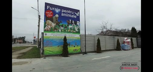 Market Furaje Topoloveni Str. Calea București 15