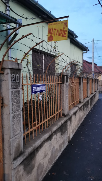 Mățărie Strada Avram Iancu 20
