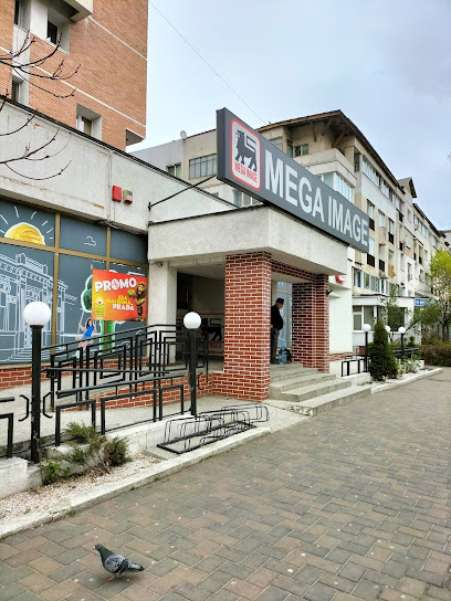 Mega Image Bloc 3