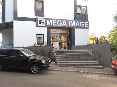 Mega Image Intrarea Ion Ciopleanu 8