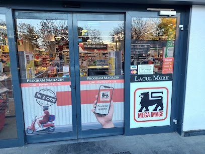 Mega Image LACUL MORII Str. Dâmbovița 40