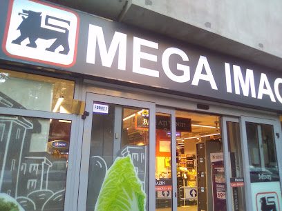 Mega Image MINIS Strada Constantin Brâncuși 23