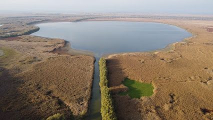 Miere Naturală (Delta Dunării) Parcheş 827212