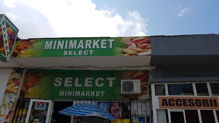 Minimarket Select Strada Tineretului 2