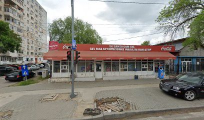 Non-Stop SANSA Strada Dunării 28