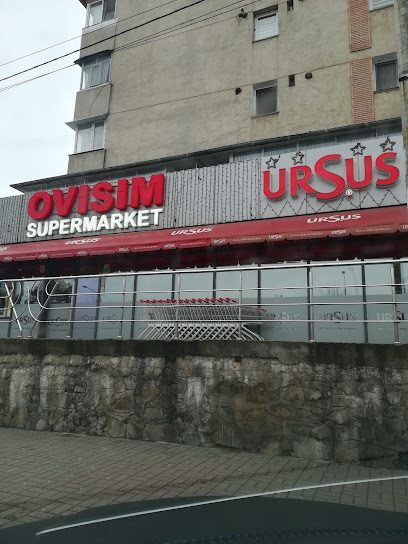 Ovisim Bloc 86