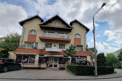 PICOLO IVONA S.R.L. Strada Vasile Alecsandri 9