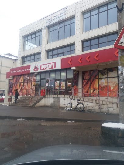 PROFI Strada Neptun