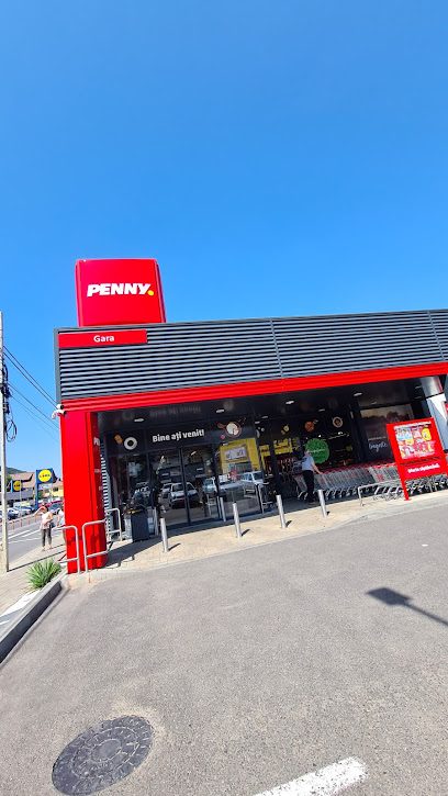 Penny Strada Bistriței 2
