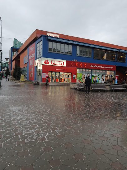 Profi Bulevardul Oituz 19
