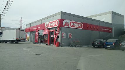 Profi Calea București 196