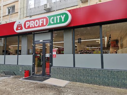 Profi City Bulevardul Sudului 10