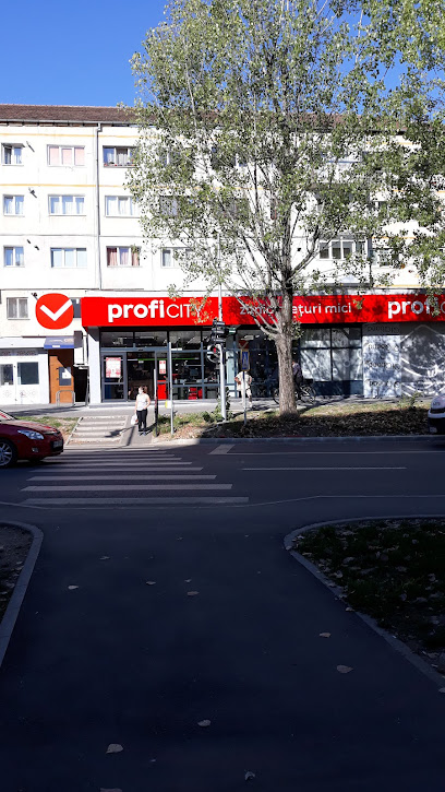 Profi City Calea Cisnădiei 19