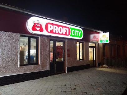 Profi City Intrarea Muncii 23
