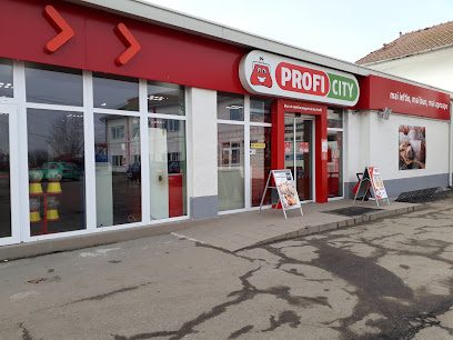 Profi City New Strada Naturii nr 2