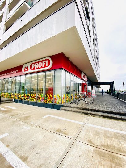 Profi City New Timisoara Str. Vlad Banateanu nr. 1а