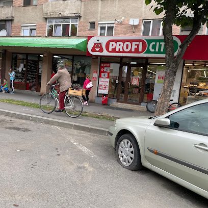 Profi City Str. Careiului 5