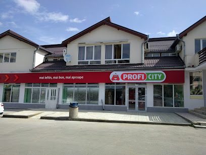 Profi City Str. Ștefan cel Mare 45