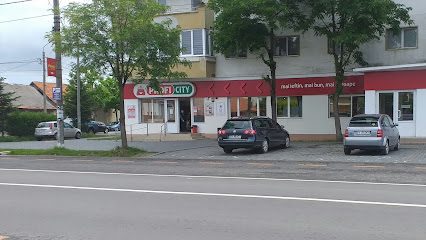 Profi City Strada Câmpului Vechi 11