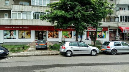 Profi City Strada Ecoului 8