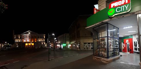 Profi City Strada Lucian Blaga 2