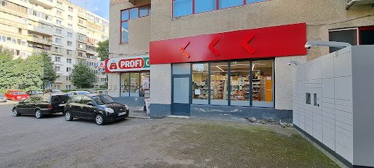 Profi City Strada Parcul Mic 19-21