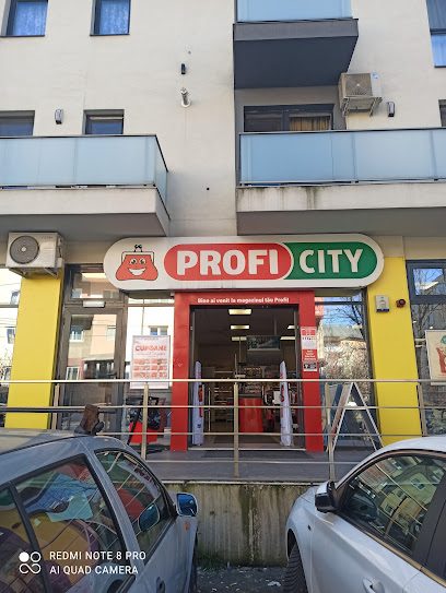 Profi City Strada Serelor 2