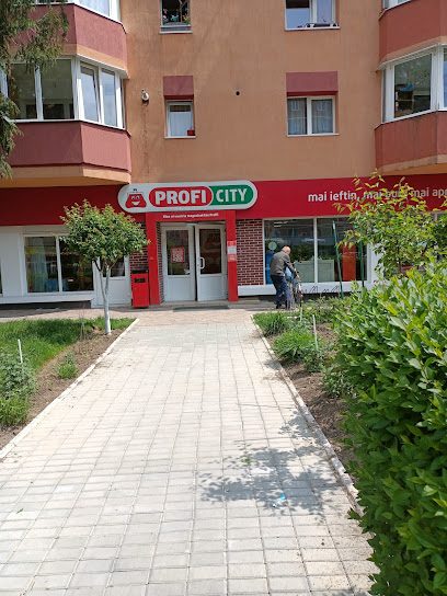 Profi City Strada Soarelui 6