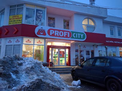 Profi City Strada Tecuciului 3