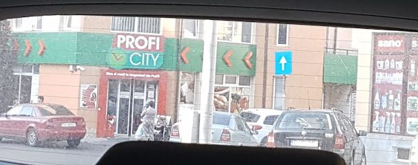 Profi City Suceava Str. Bistritei nr. 8А
