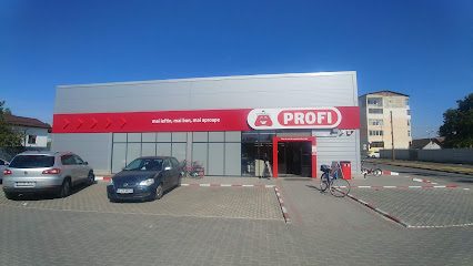 Profi DJ601D 30