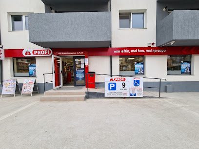 Profi Drumul Gura Făgetului 58-68