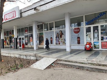 Profi Galati Str. Constructorilor nr. 1Е